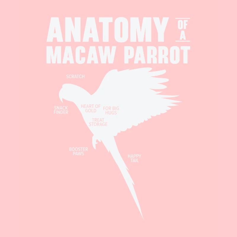 Macaw Anatomy Birdwatching Parrot Bird Lover