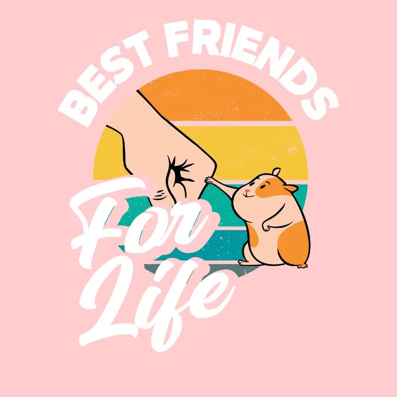 Drôle de cadeau de hamster