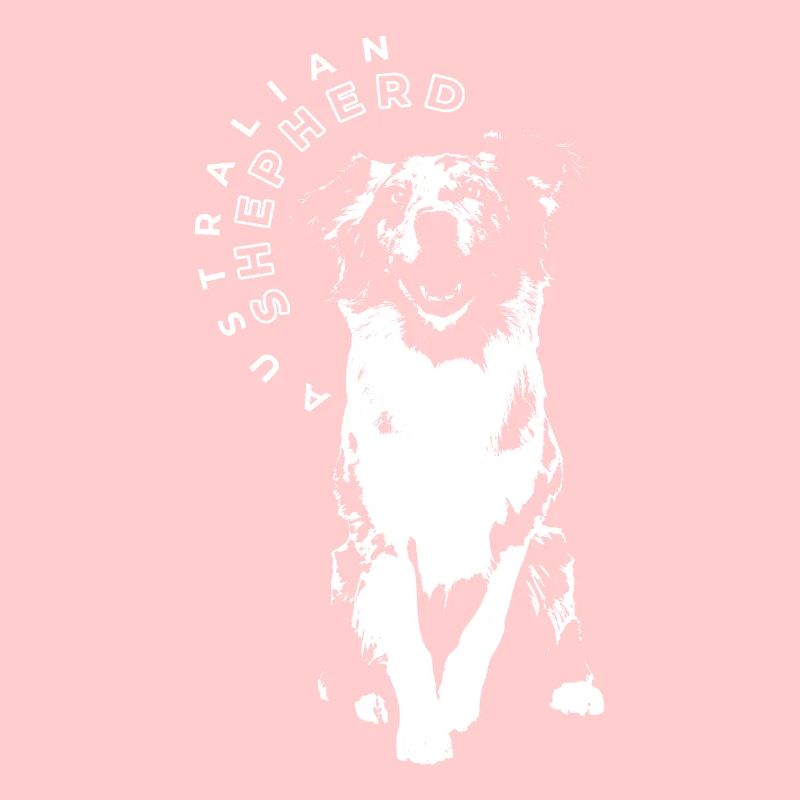 Australian Shepherd Aussie Hund