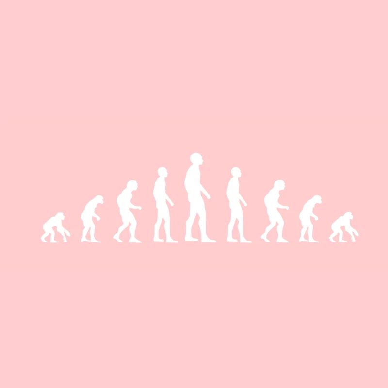 Évolution de l'humain