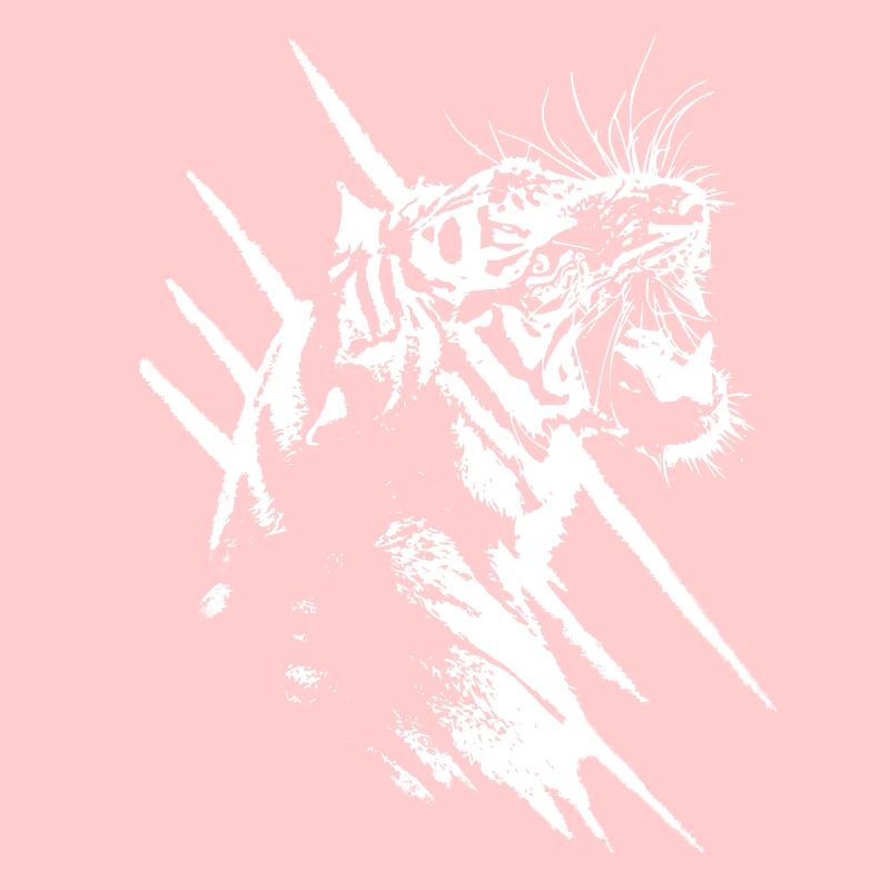 tigre