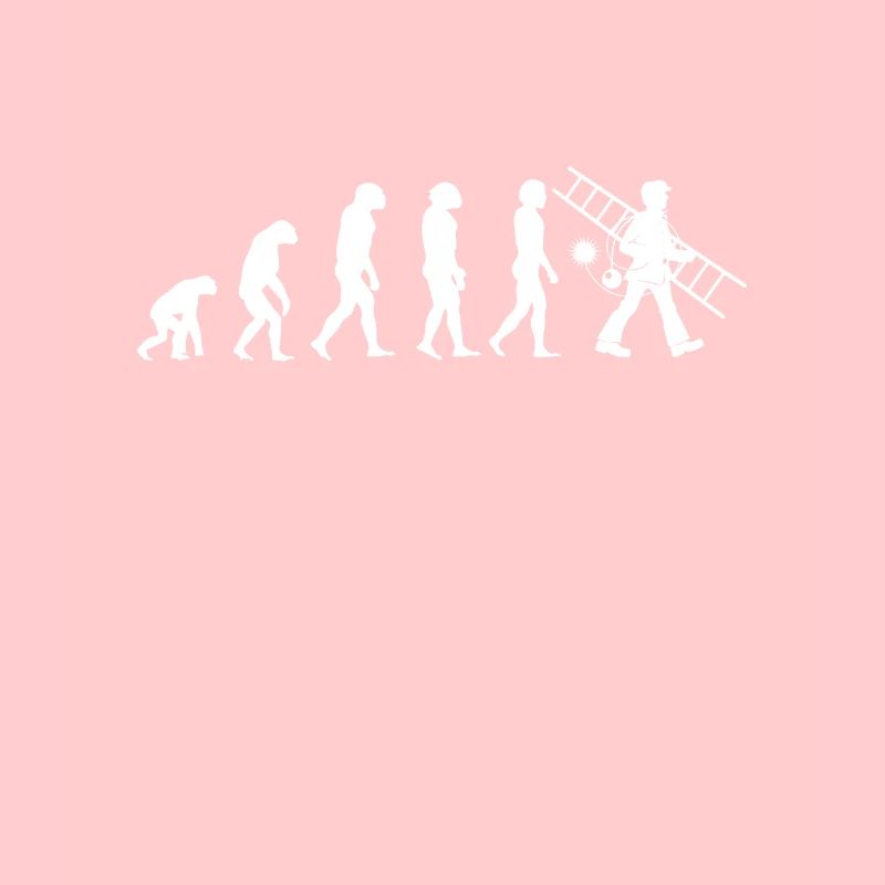 Schornsteinfeger Evolution Schornstein Kamin