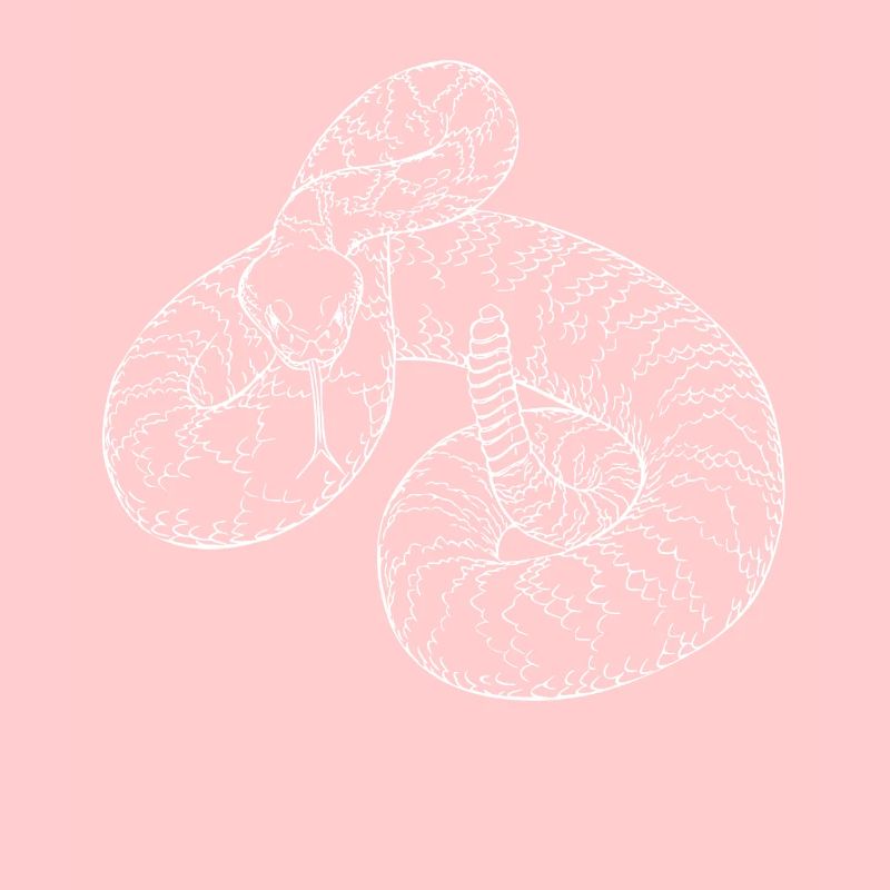 Snake rattlesnake devil