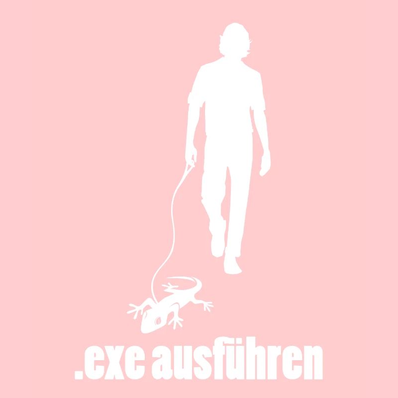 Informatiker Programmierer Admin exe ausführen