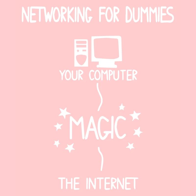 Internet Computer Netzwerk