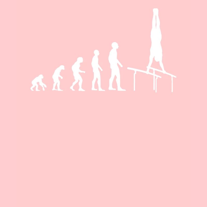 Evolution to Turner - Gift