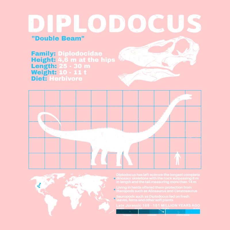 Fiche technique du Diplodocus