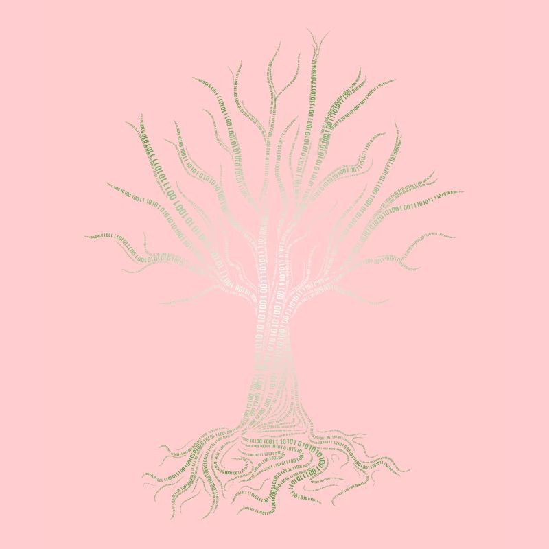 Binary Tree Computer Coding Programmer