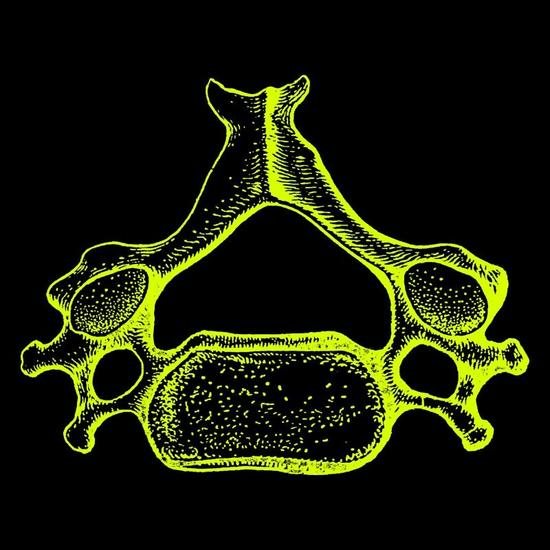 Vertebral bones in neon yellow
