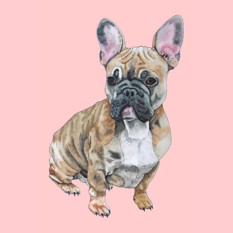 Français Bouledogue