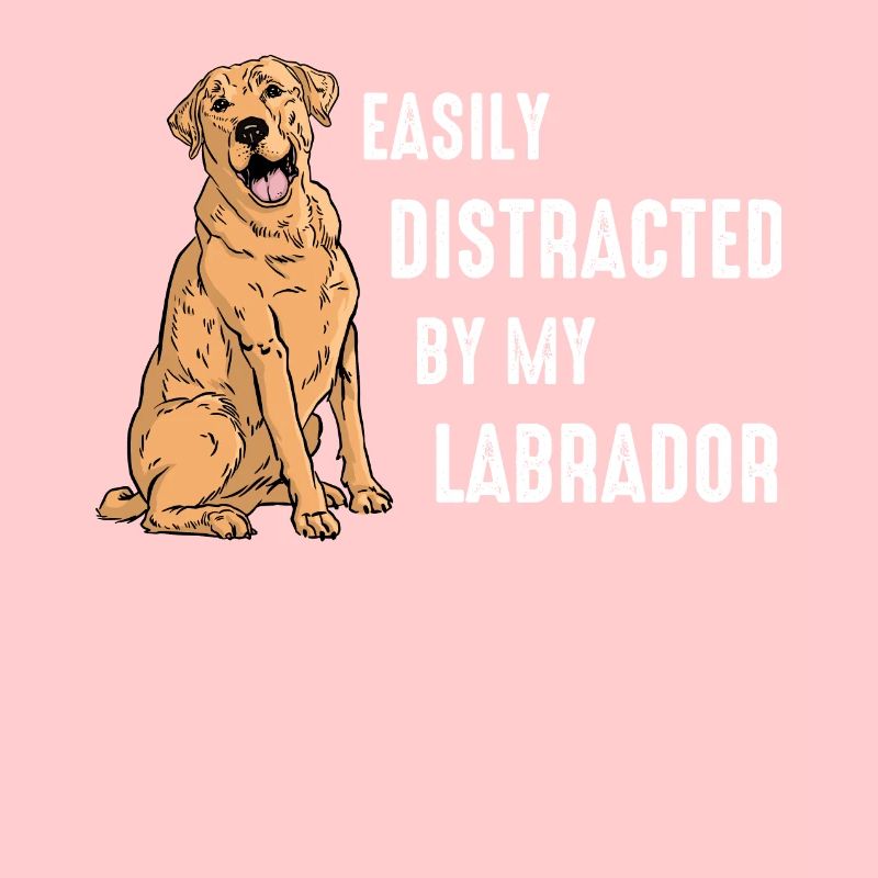 Labrador Dog