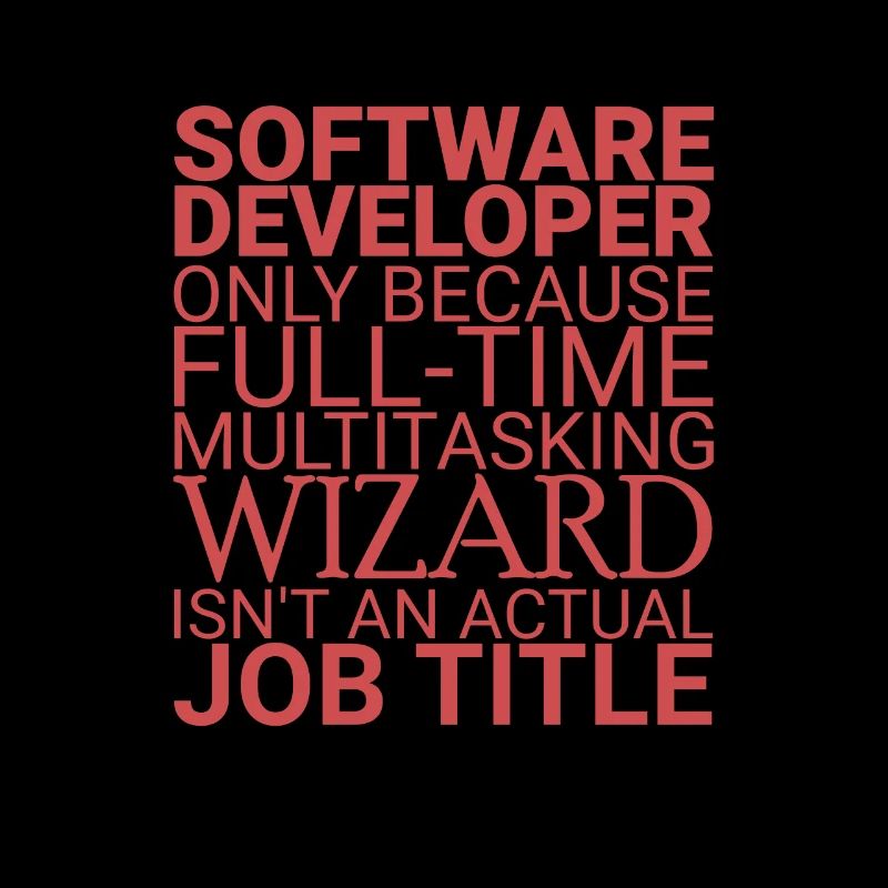 « Assistant de développement logiciel | Programmeur »