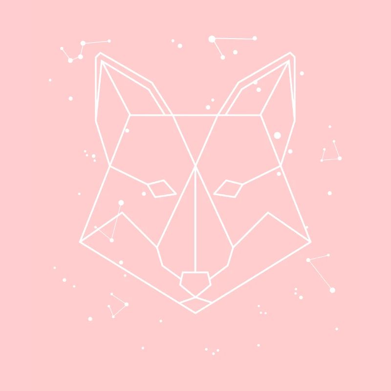 Sternbild Fox Constellation Caninae Red Fox