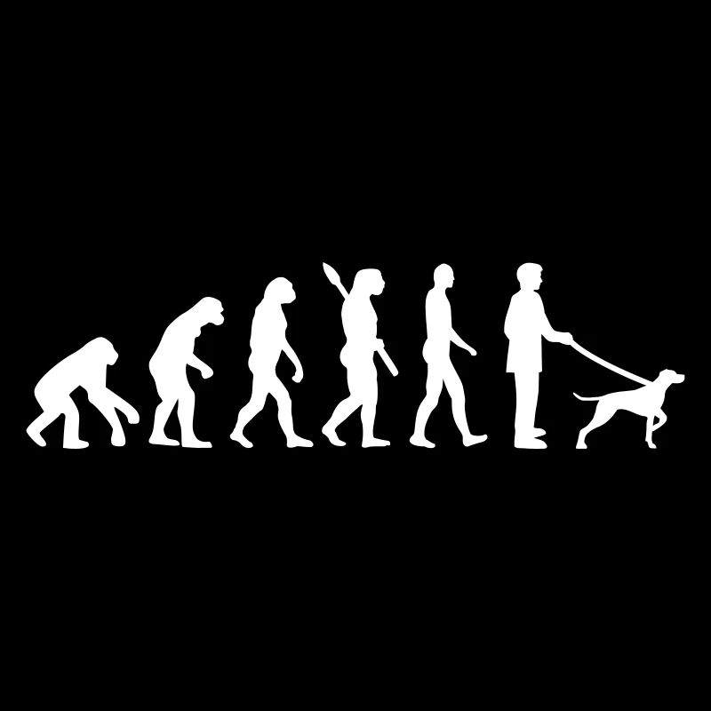 German Shorthaired Pointer