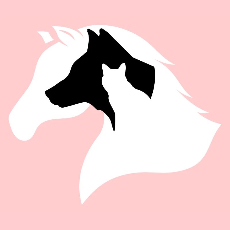 Silhouette De Cheval, Chien, Chat