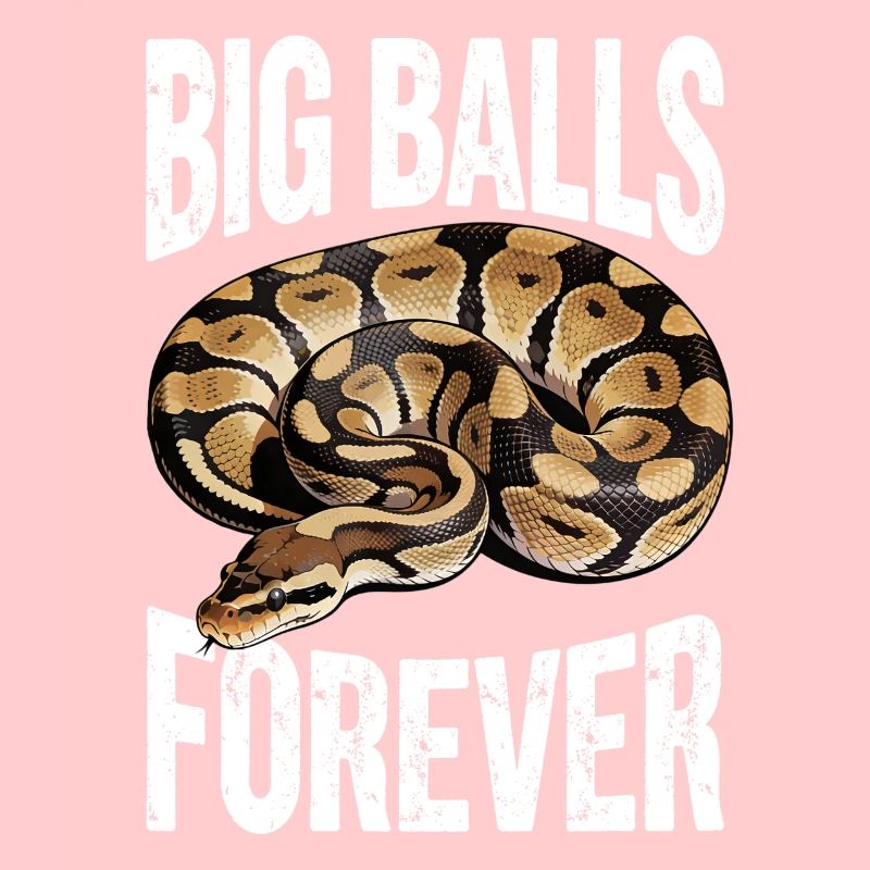 Python roi Serpents Amateurs de terrarium Python