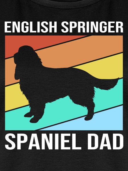 Springer Spaniel