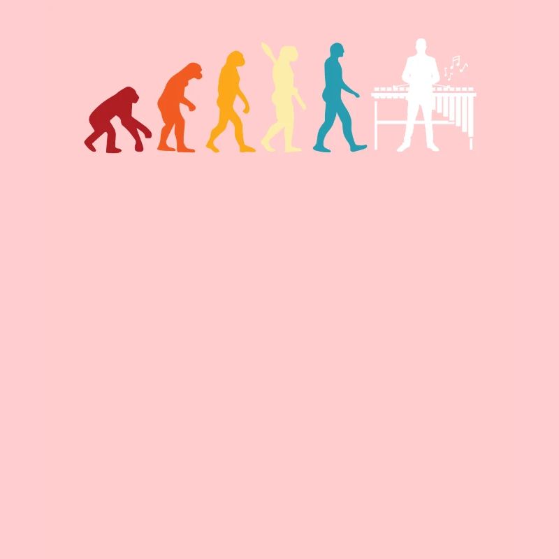 Xylophon Evolution