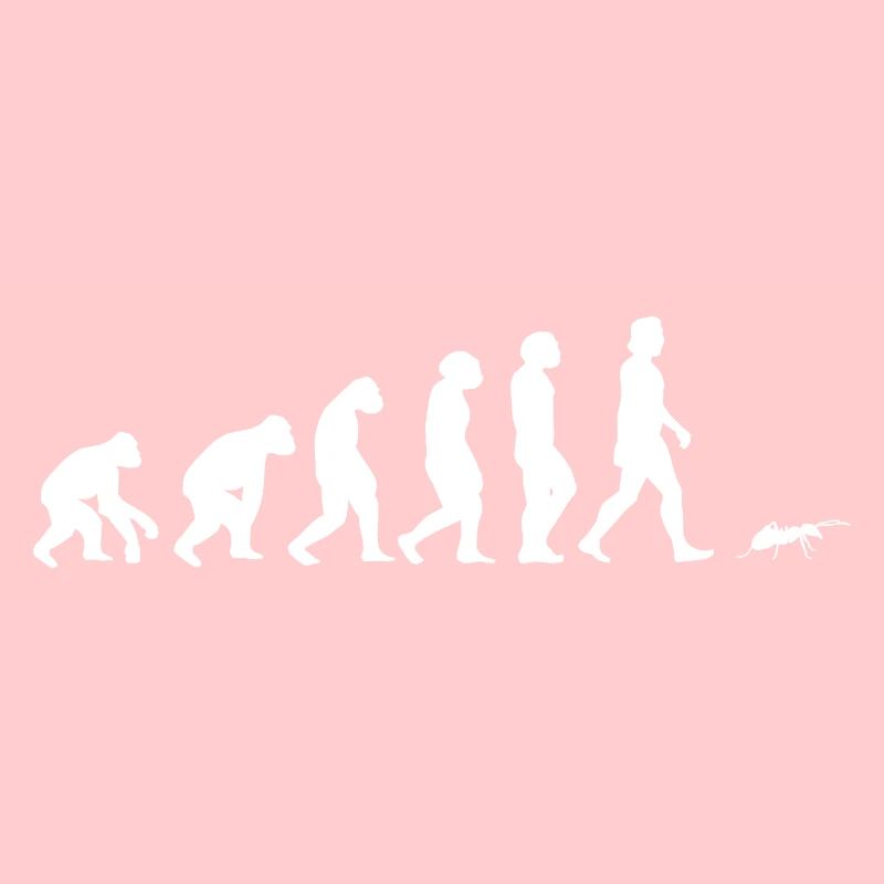 Fourmi Insecte Evolution de l’homme Animaux