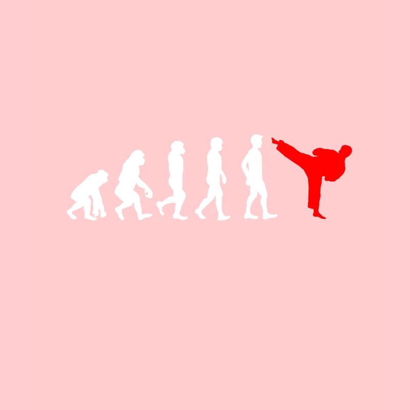 Karate Development - Evolution of a karate fighter