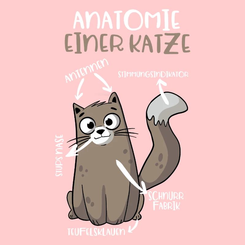 Anatomie einer Katze