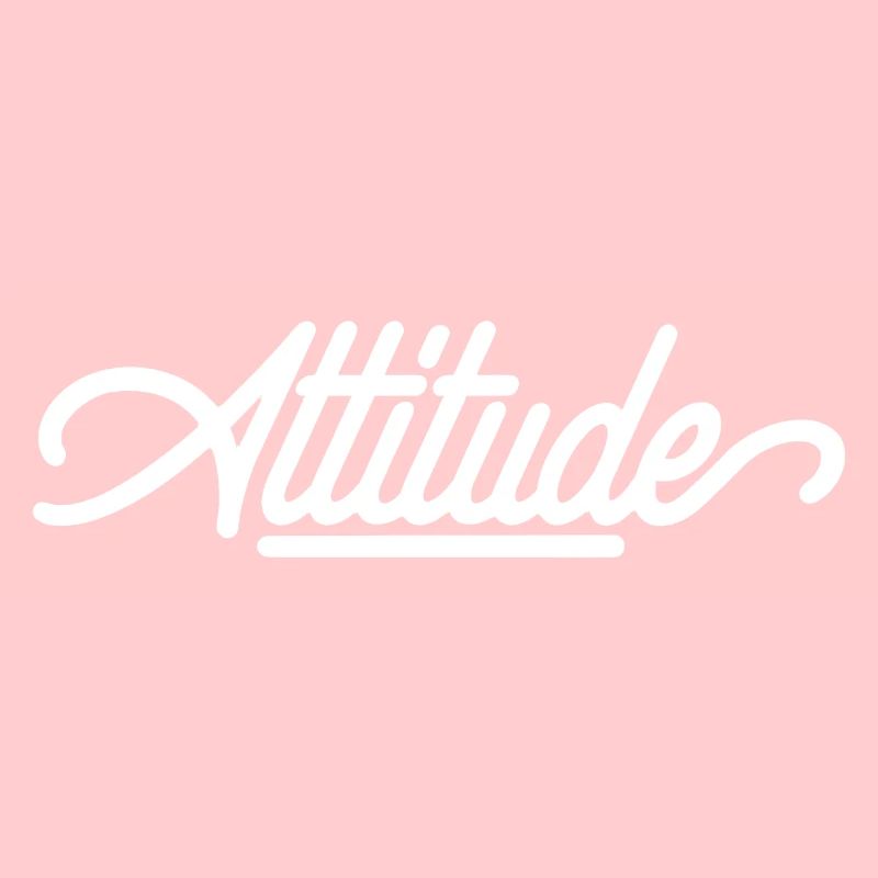Attitude