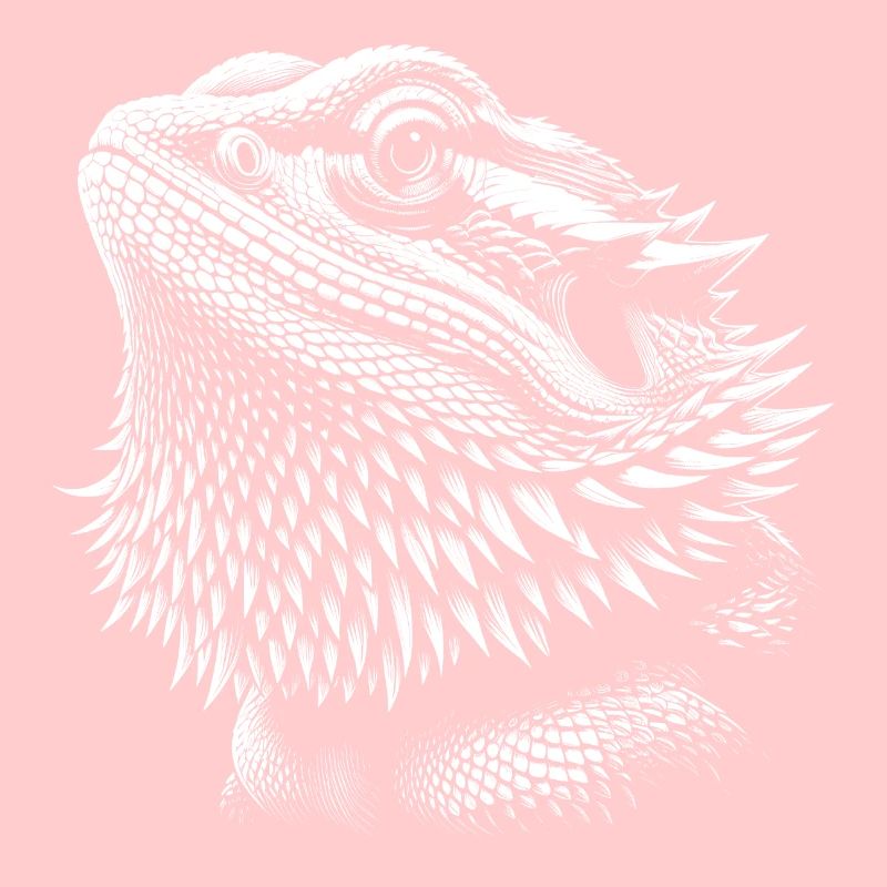 Bärtiger Drache Bartagame