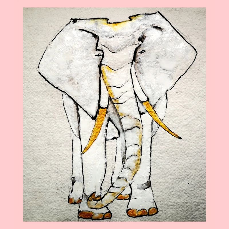White Elephant
