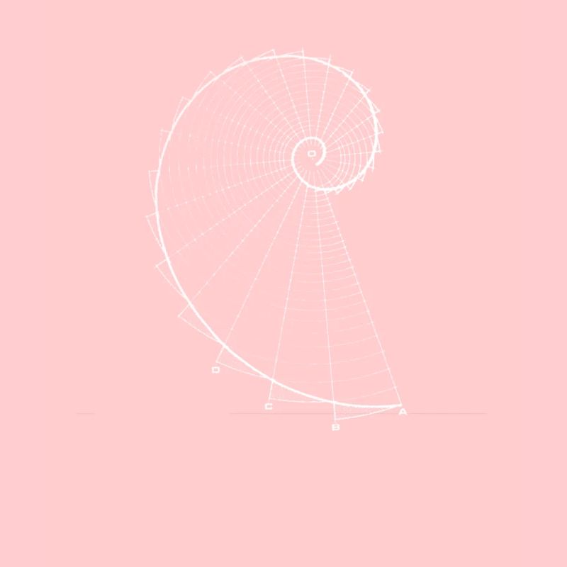 Fibonacci (chalk optics)