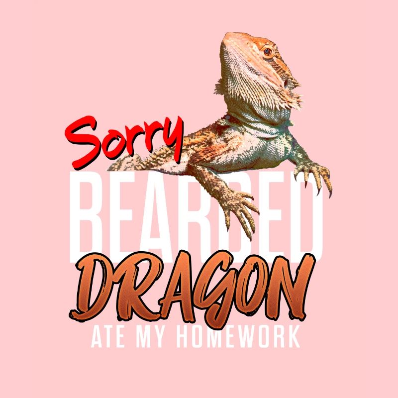 Dragon barbu a mangé mes devoirs