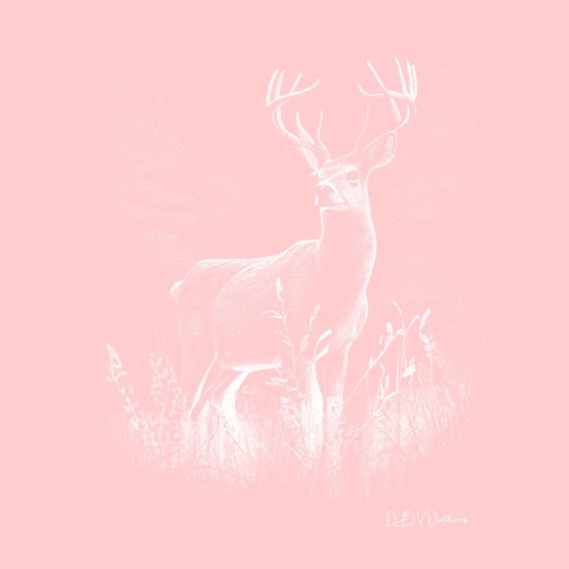 Plain deer