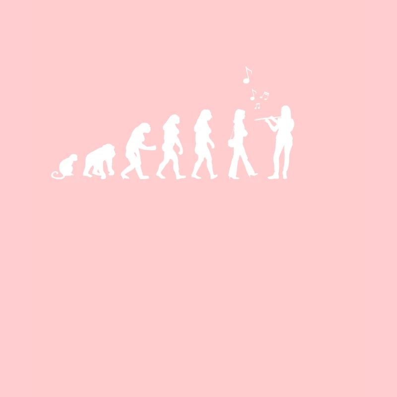 Flöte Blockflöte Querflöte Geschenk Geschenkidee