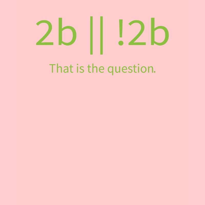 2b lustiger cooler Programmierer sein oder nicht sein