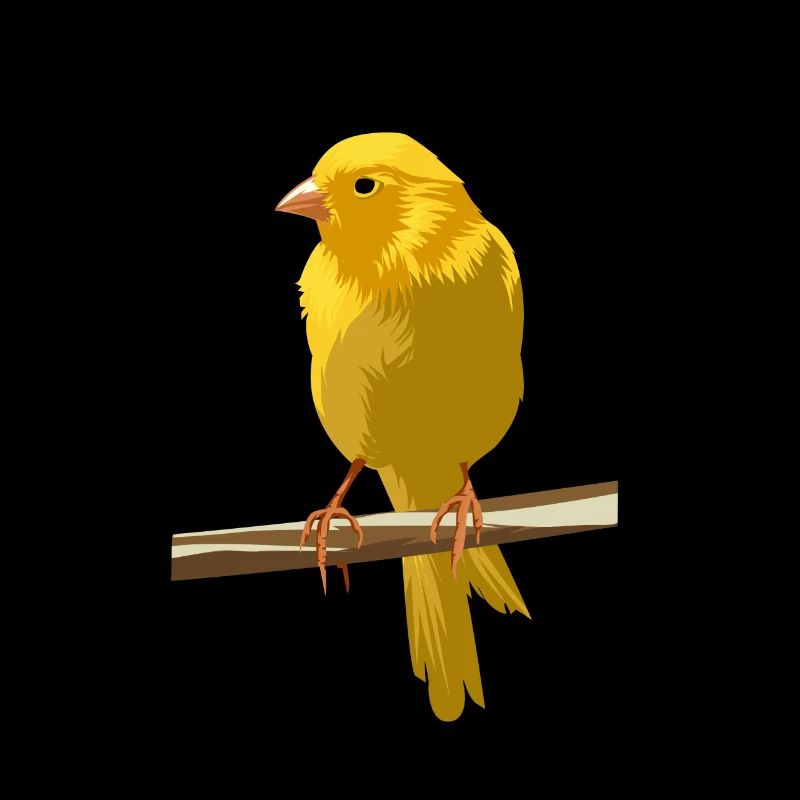 Canari sur branche