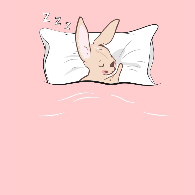 Pyjama pyjama lapin