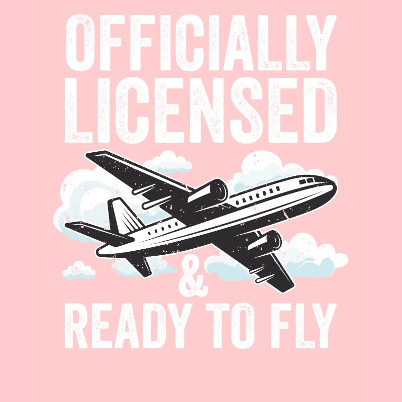 Flugzeug Fluglizenz Flugschein Pilot