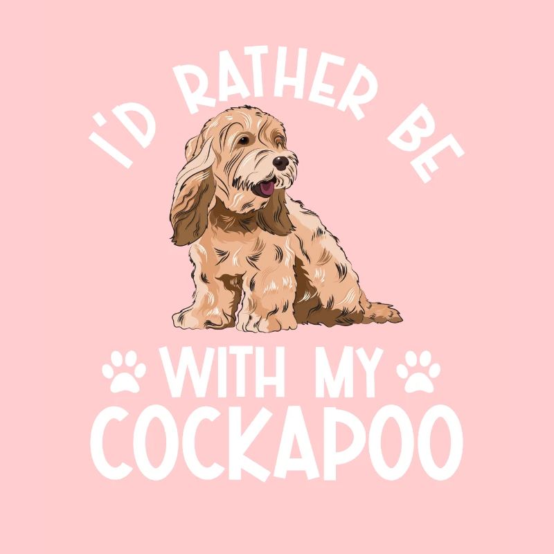 Cockapoo Hund