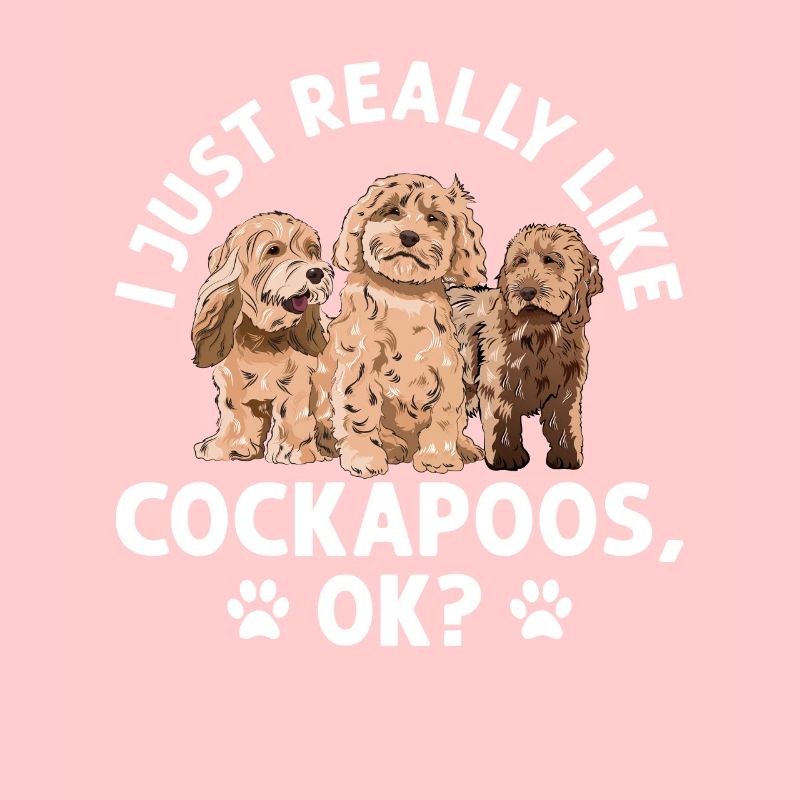 Cockapoo Hund