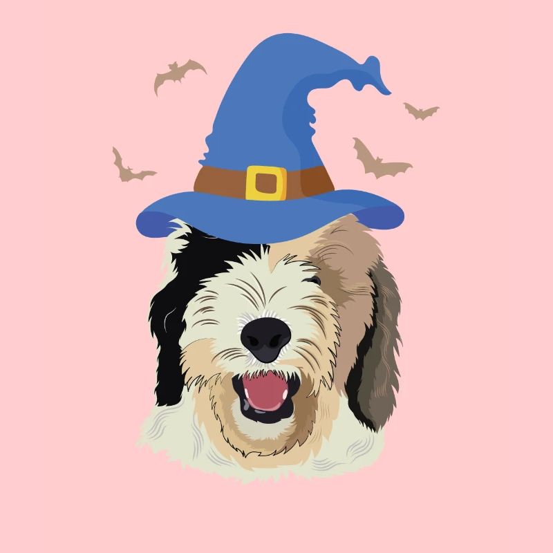 Sheepadoodle Doodle Hund