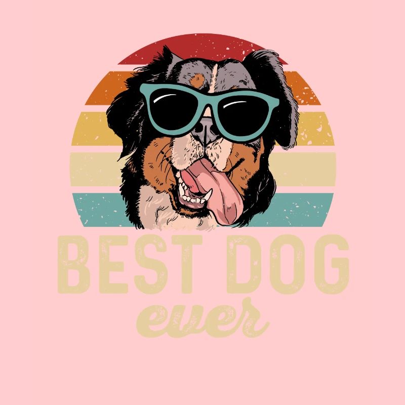 Bernese Mountain Dog
