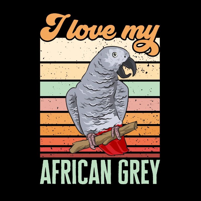 Graupapagei African Grey Parrot Papagei