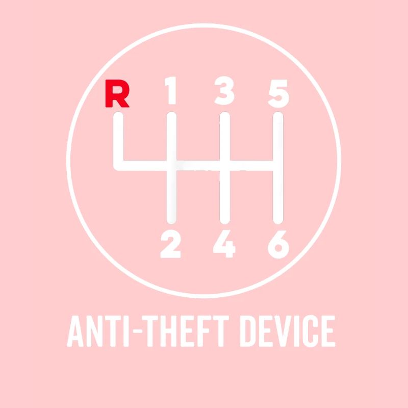 Anti Theft Device Manual Shift Speed Stick Shift