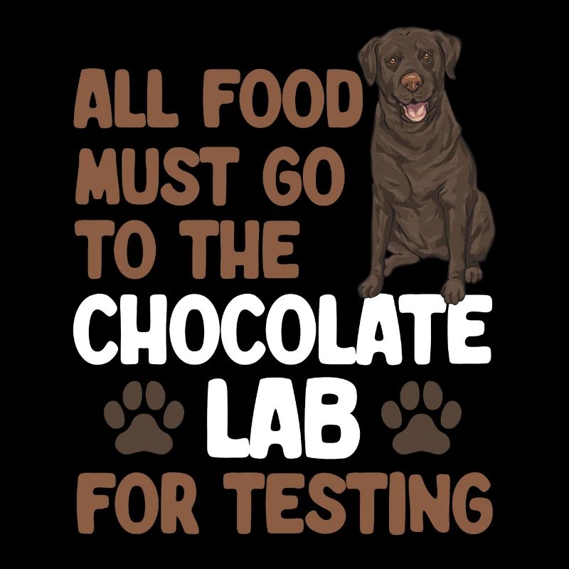 Chocolate Brown Labrador Retriever Dog