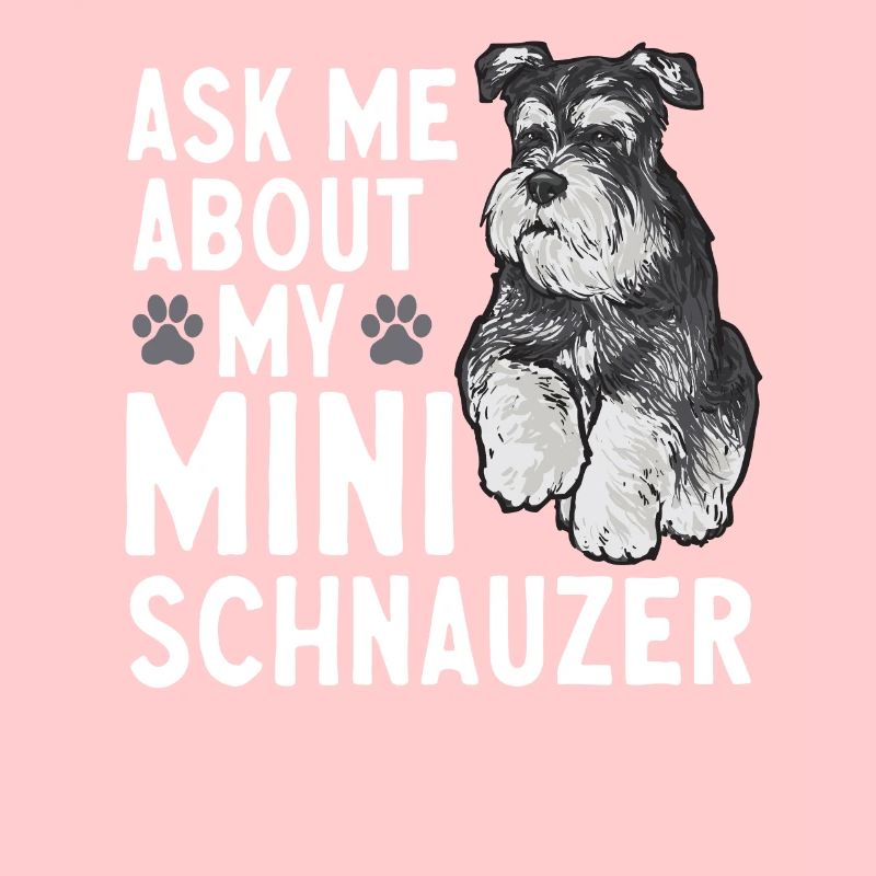 Zwergschnauzer Hund Schnauzer