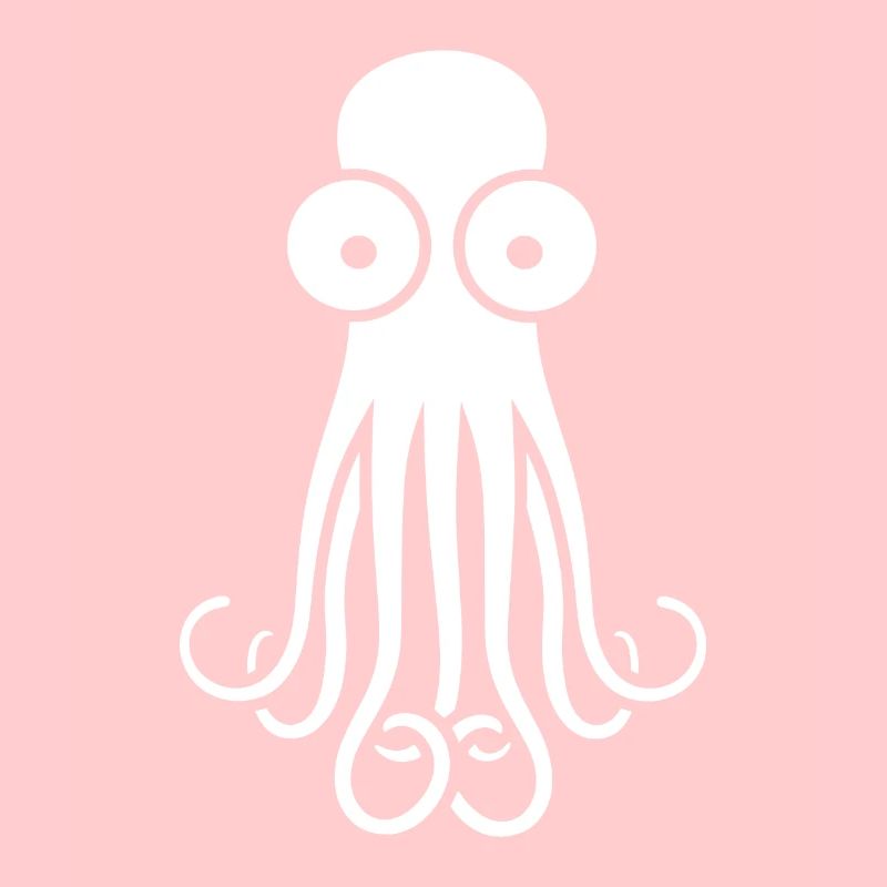 Squid