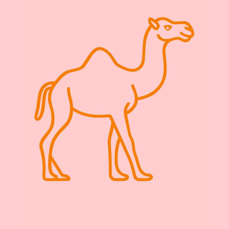 Dromedary