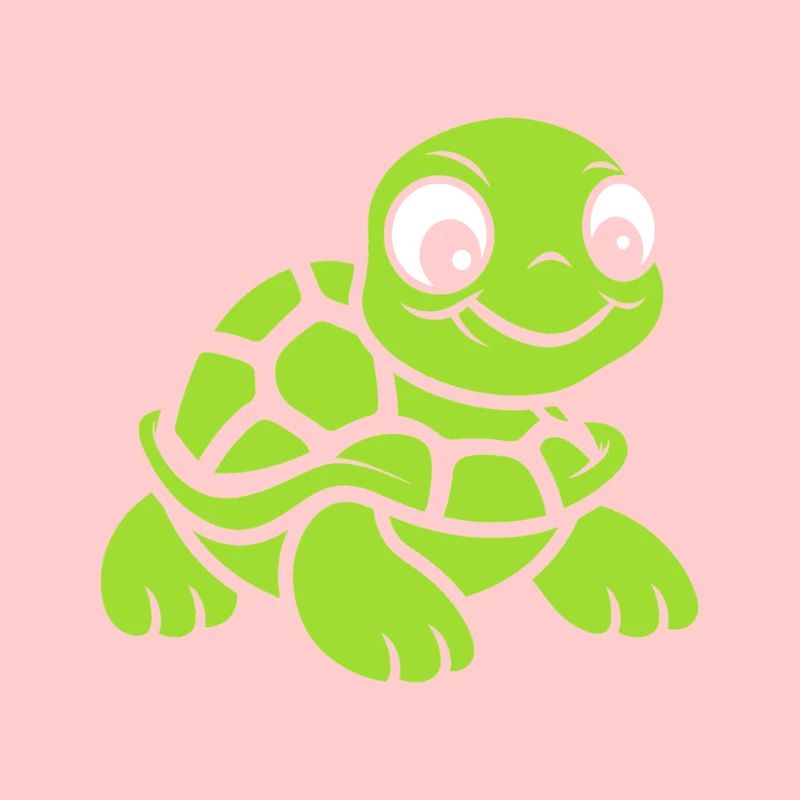 tortue