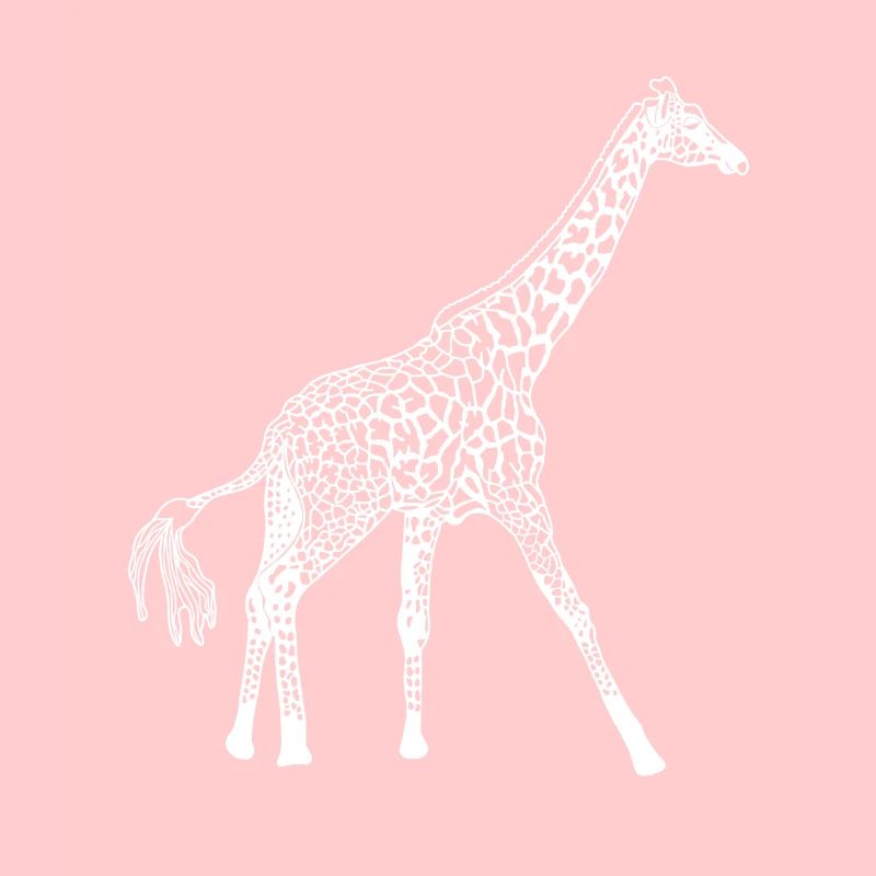 Giraffe white structure