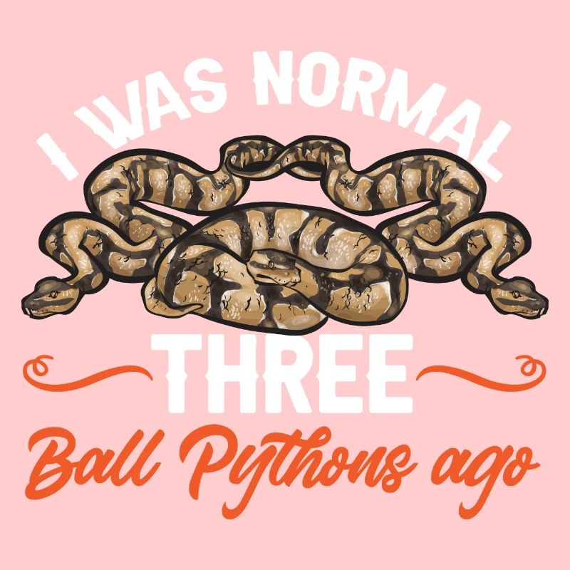 Ball Python Schlange Königspython