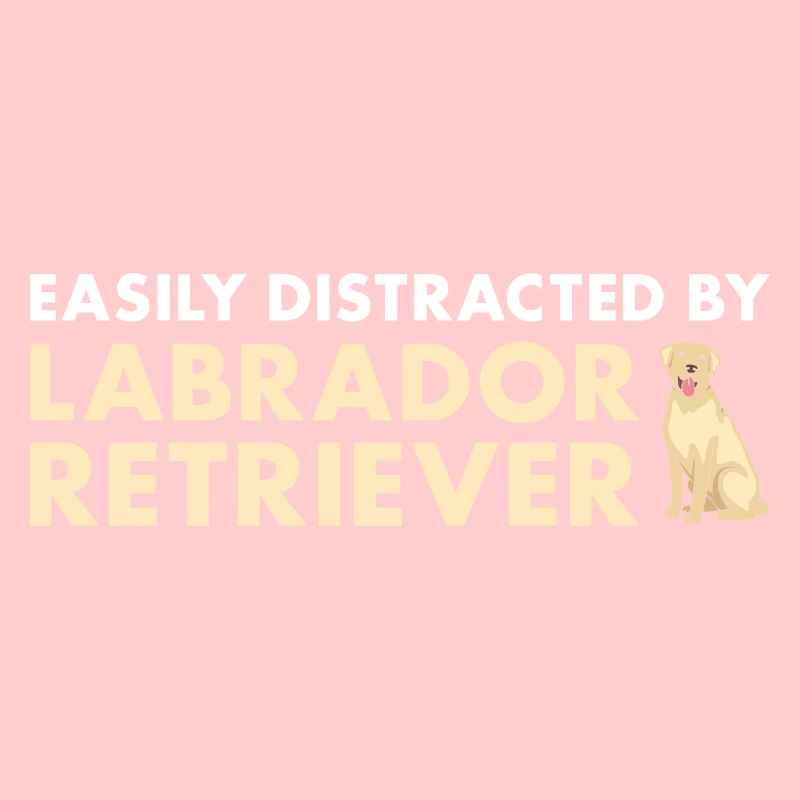 Easily Distracted By Labrador Retriever